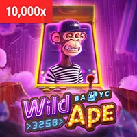 Biểu tượng cấp độ VIP Bạc của wi55 casino